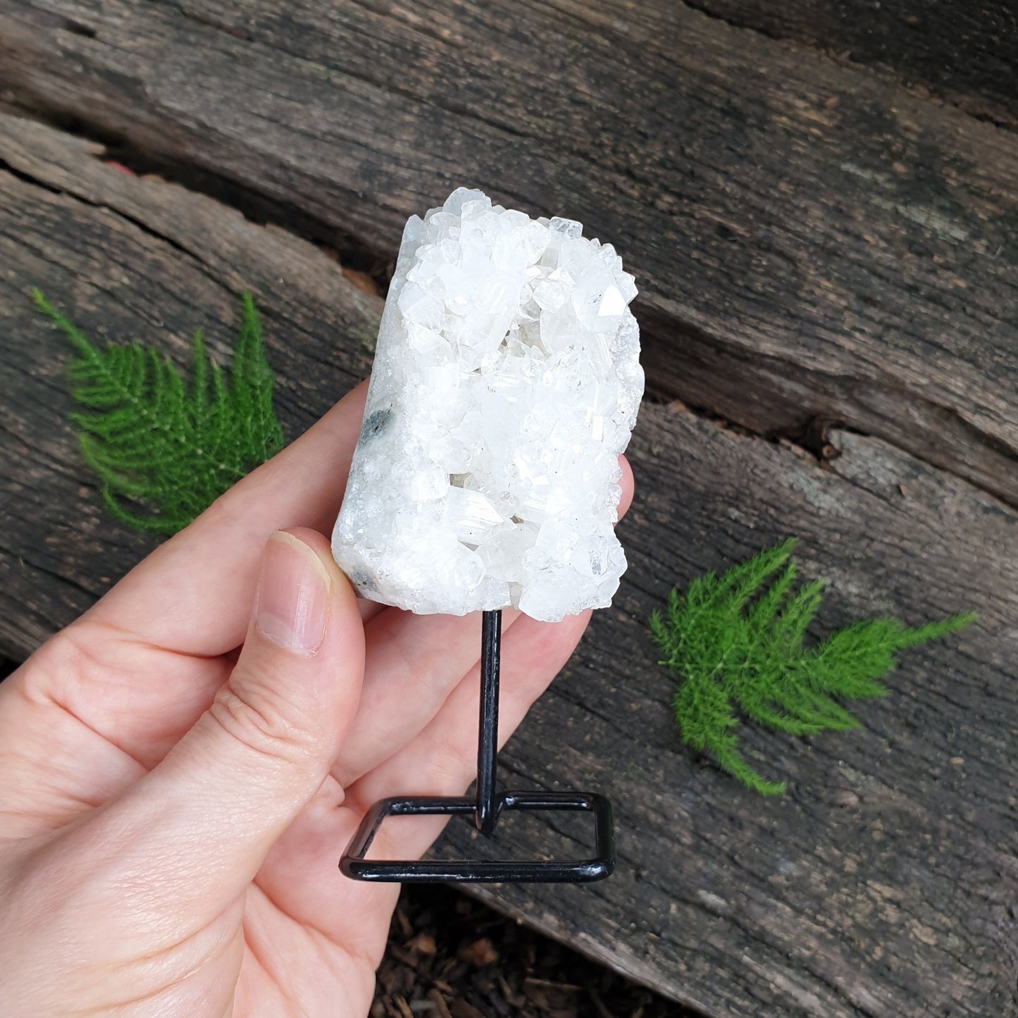 Apophyllite Cluster on Stand | Small