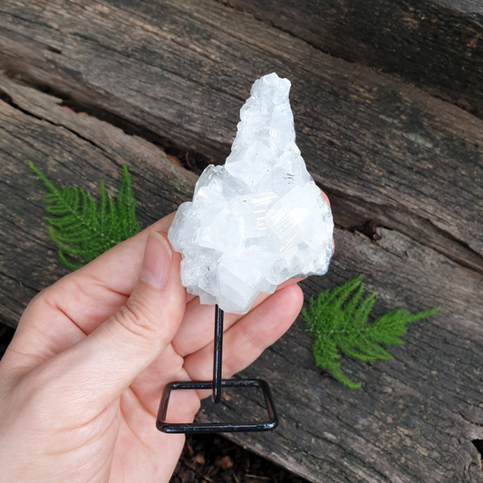 Apophyllite Cluster on Stand | Small