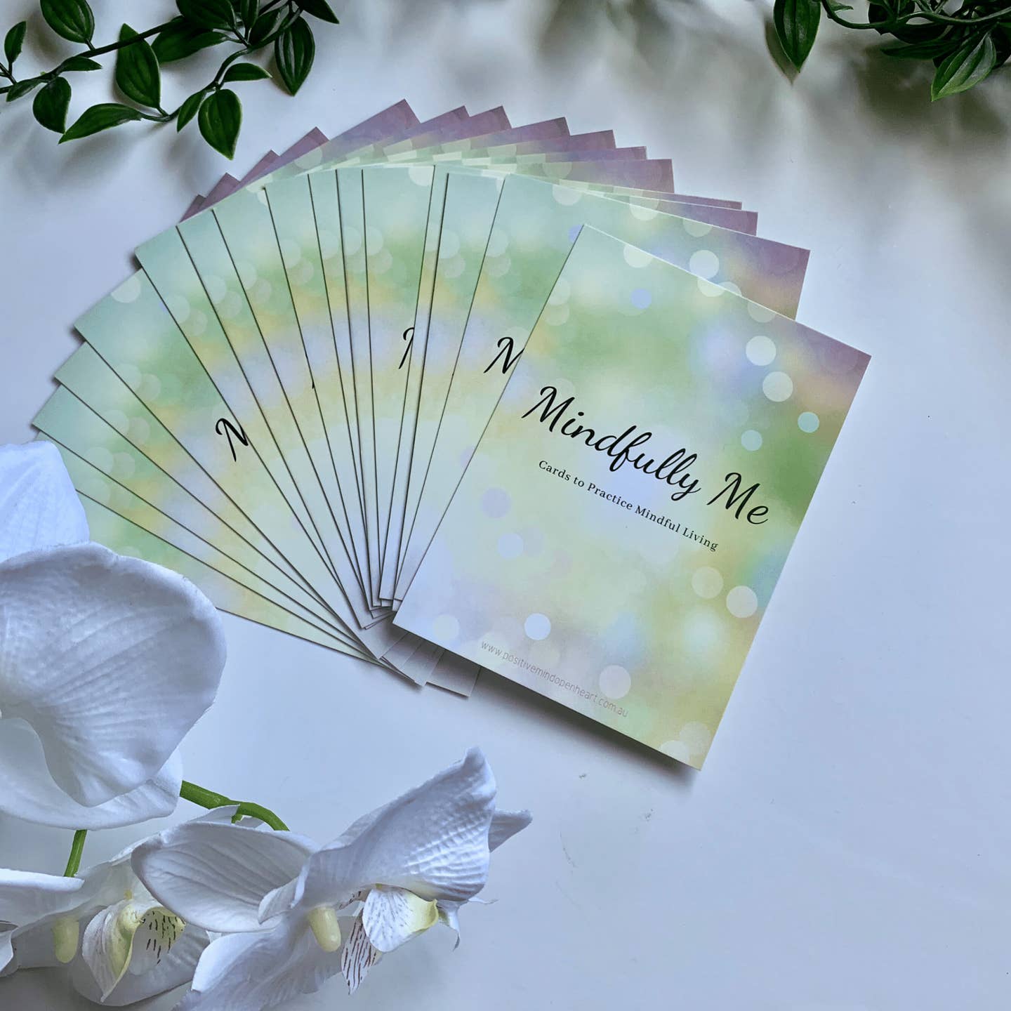 Affirmation Cards with Timber Stand