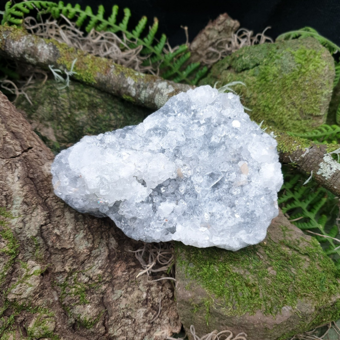 Apophyllite Cluster | 386g