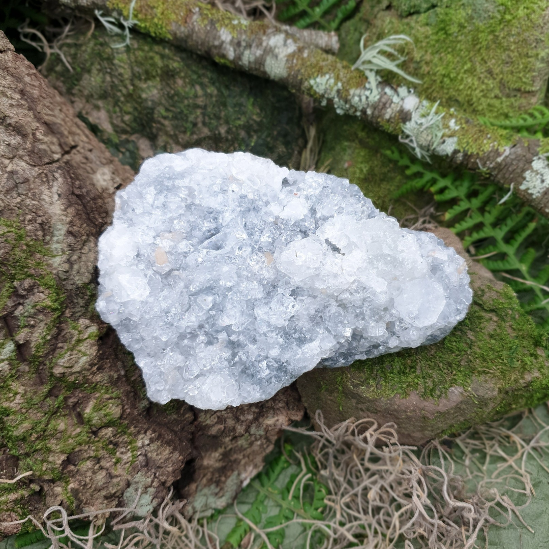 Apophyllite Cluster | 386g