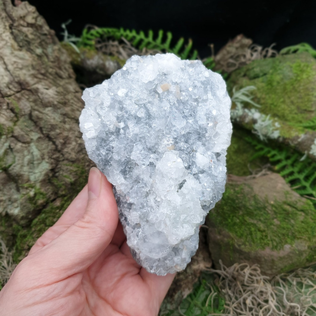 Apophyllite Cluster | 386g