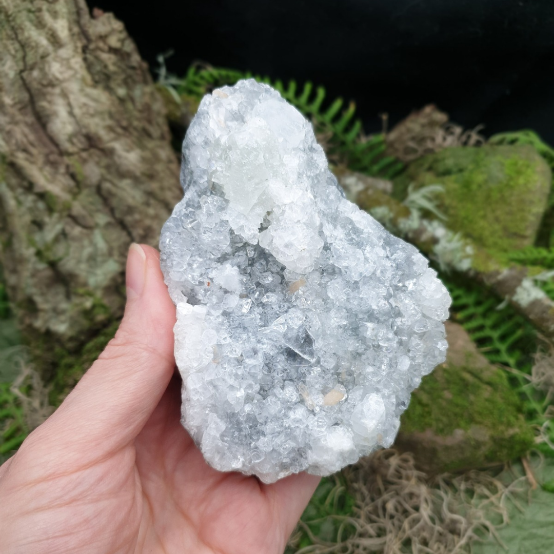 Apophyllite Cluster | 386g